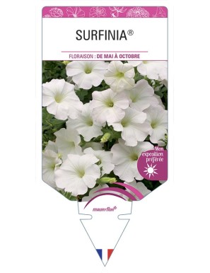 SURFINIA® (blanc)