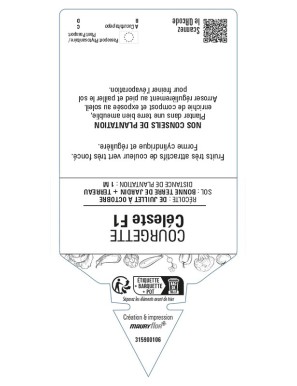 Courgette Céleste F1