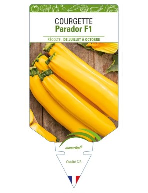 Courgette Parador F1