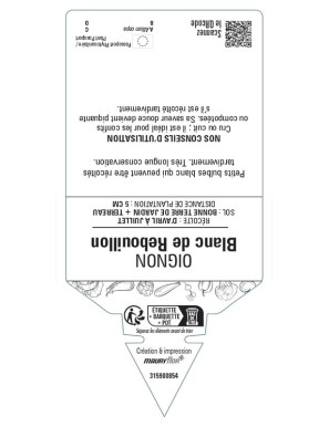 Oignon Blanc de Rebouillon