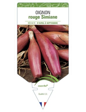 Oignon Rouge Simiane