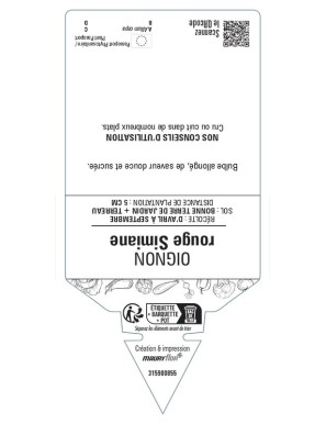 Oignon Rouge Simiane