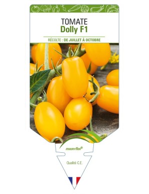 Tomate Dolly F1