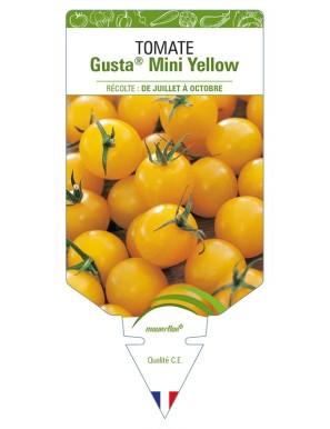Tomate Gusta Mini® Yellow