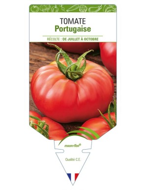 Tomate Portugaise