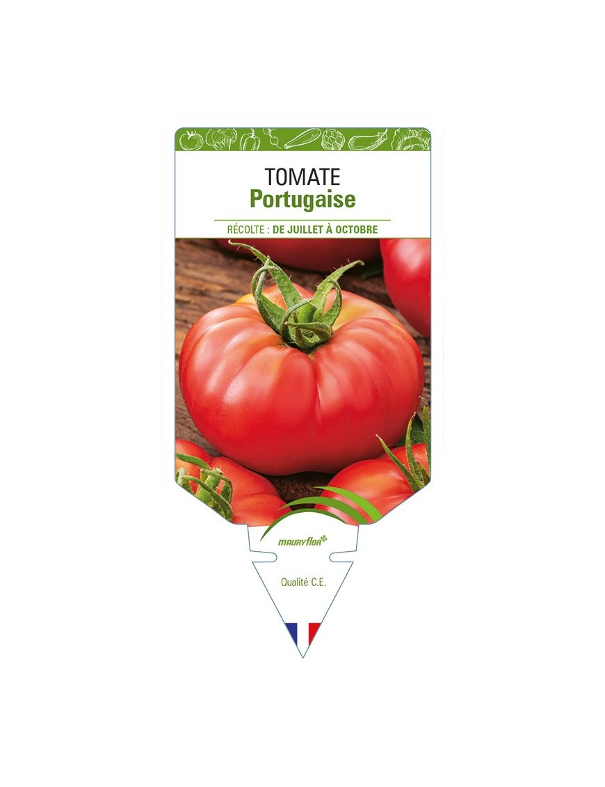 Tomate Portugaise