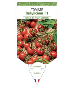 Tomate Rubylicious F1