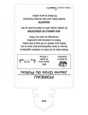 Poireau jaune Gros du Poitou