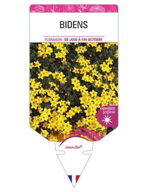 BIDENS