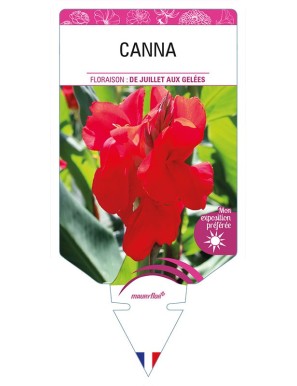 CANNA (rouge)