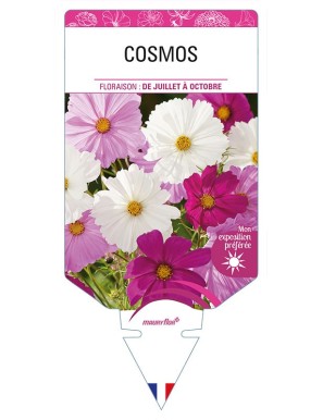 COSMOS (varié)