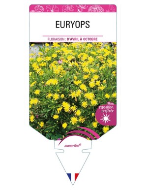 EURYOPS