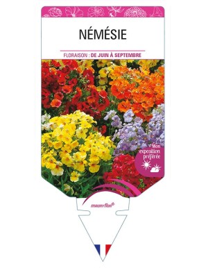 NEMESIA (varié)