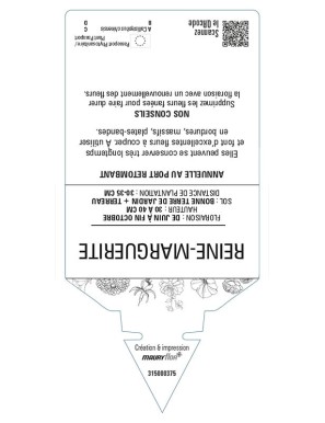 REINE-MARGUERITE (varié)