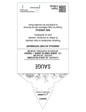 SAUGE (farinacea bleu)