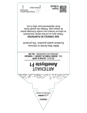 ARTICHAUT (violet) AMETHYSTE F1