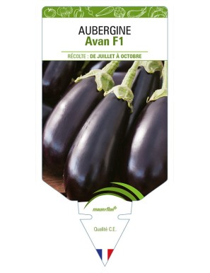 AUBERGINE AVAN F1