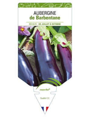 AUBERGINE DE BARBENTANE