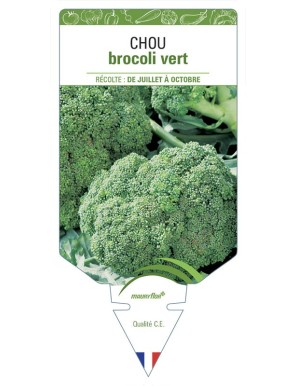 CHOU BROCOLI VERT