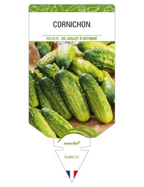 CORNICHON