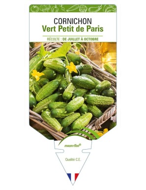 CORNICHON VERT PETIT DE PARIS