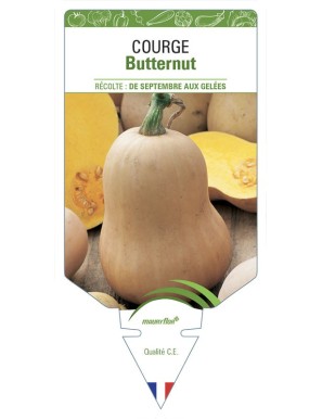 COURGE BUTTERNUT