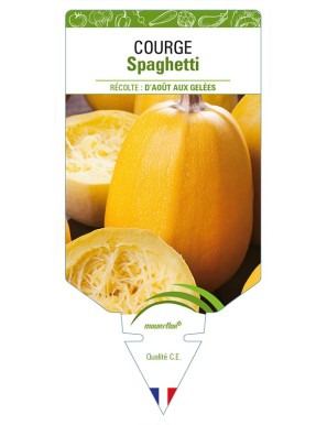 COURGE SPAGHETTI