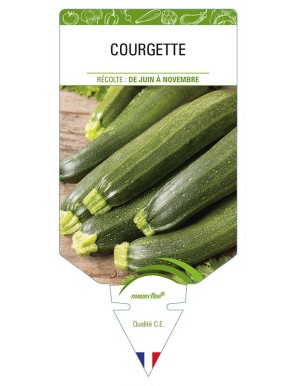 COURGETTE