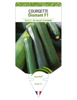 COURGETTE DIAMANT F1