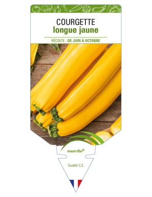 COURGETTE LONGUE JAUNE