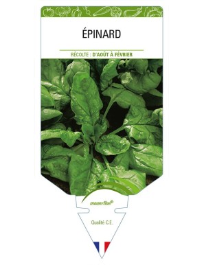 ÉPINARD