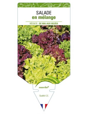 (Laitue) SALADES EN MELANGE