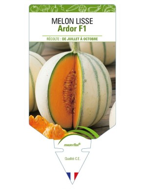 MELON LISSE ARDOR F1