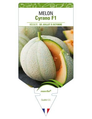 MELON CYRANO F1