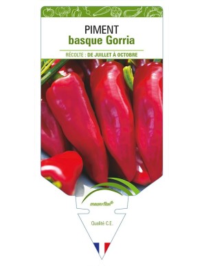 PIMENT BASQUE GORRIA