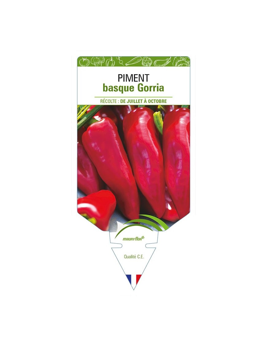 PIMENT BASQUE GORRIA