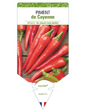 PIMENT DE CAYENNE