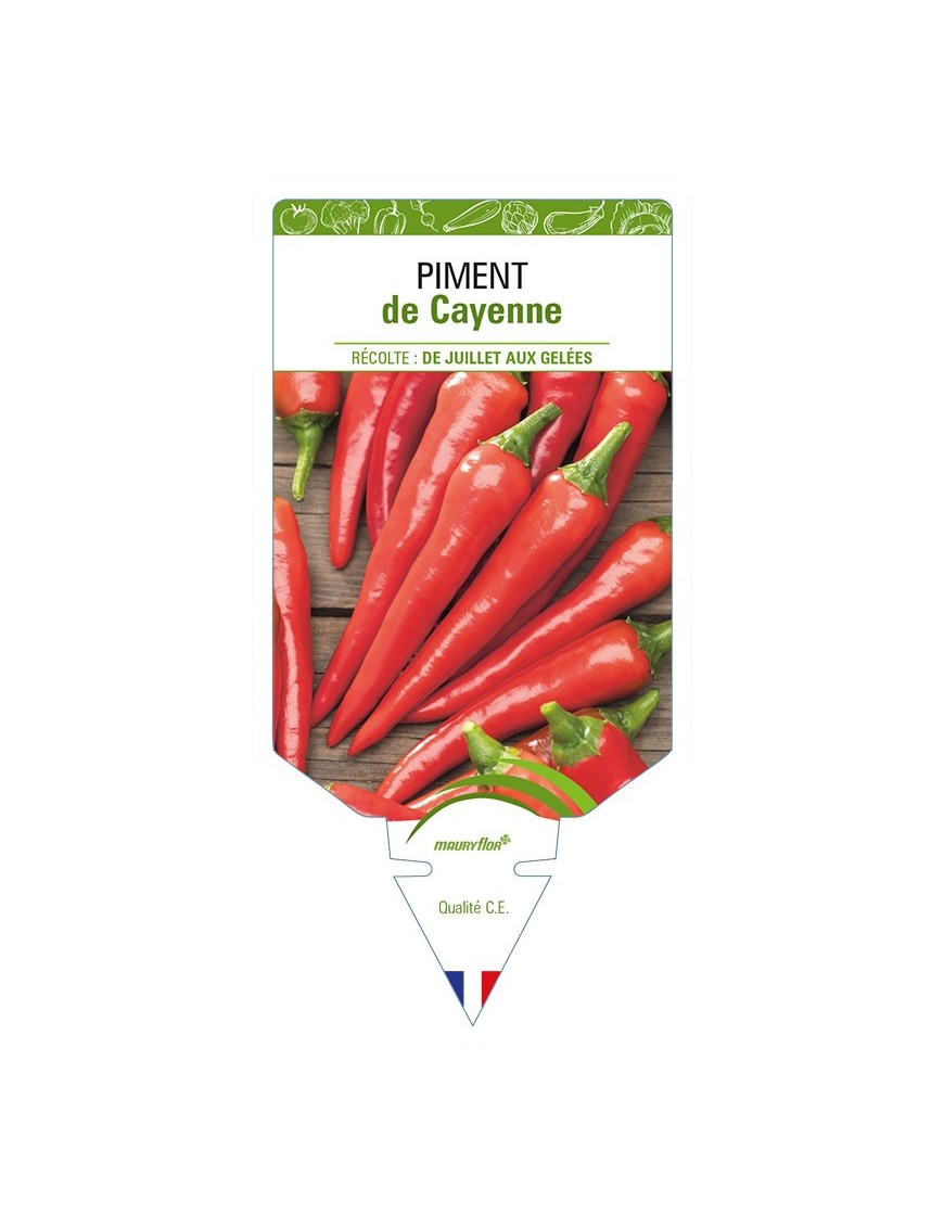 PIMENT DE CAYENNE