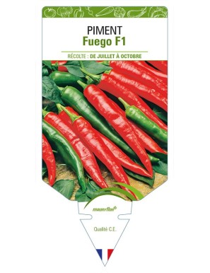 PIMENT FUEGO F1