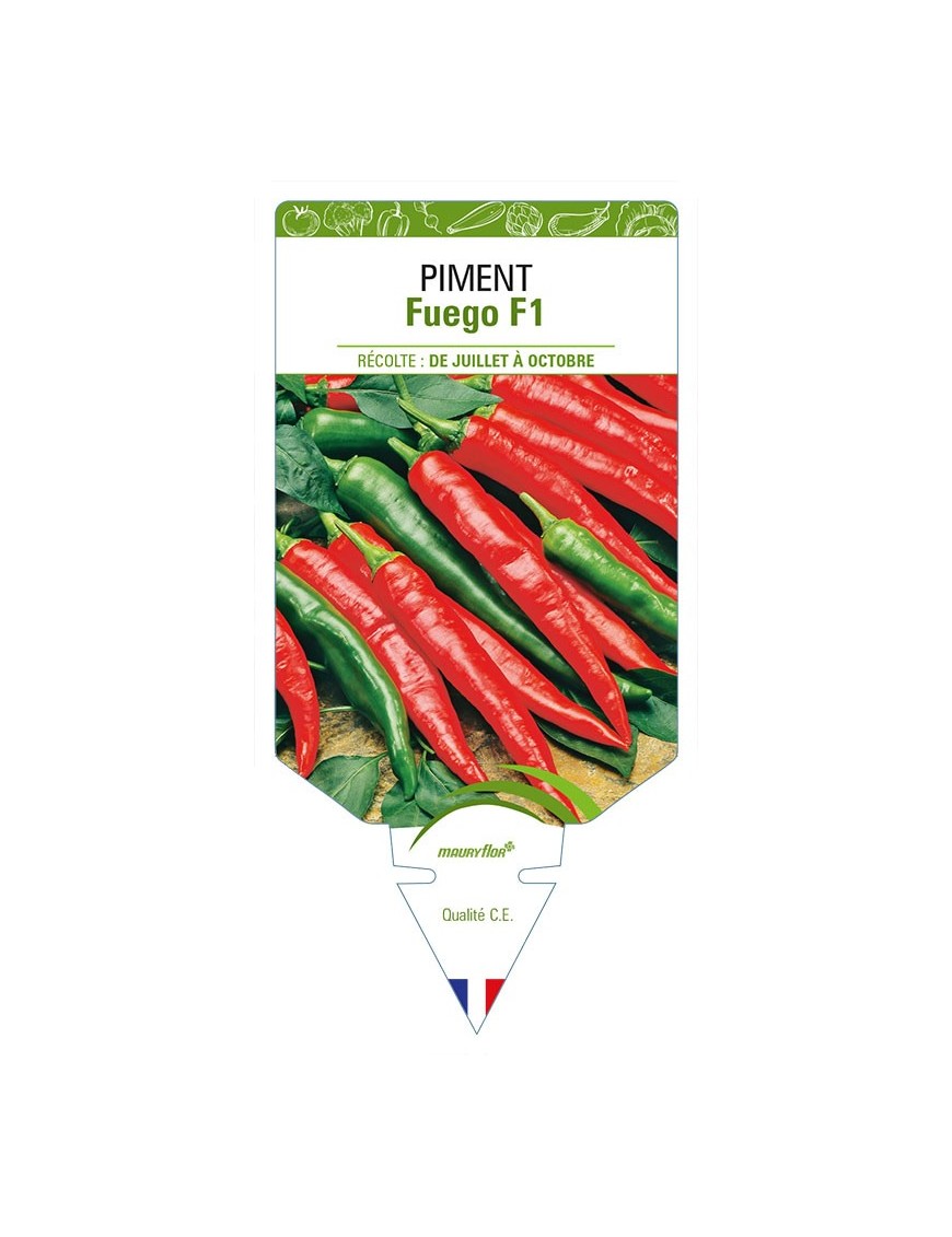 PIMENT FUEGO F1