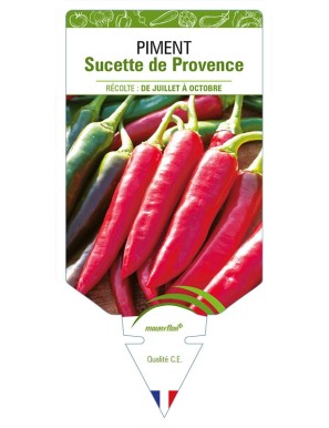 PIMENT SUCETTE DE PROVENCE