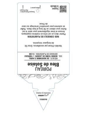 POIREAU BLEU DE SOLAIZE