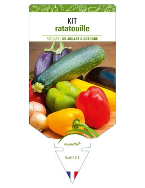 KIT RATATOUILLE (aubergine