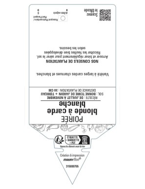 POIRÉE BLONDE À CARDE BLANCHE