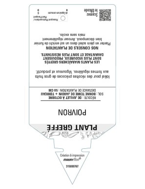 POIVRON PLANT GREFFÉ