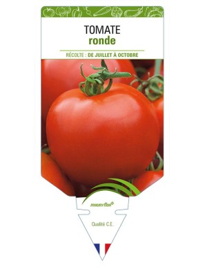 TOMATE RONDE (sans nom - Fruits ronds)