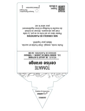 TOMATE CERISE ORANGE