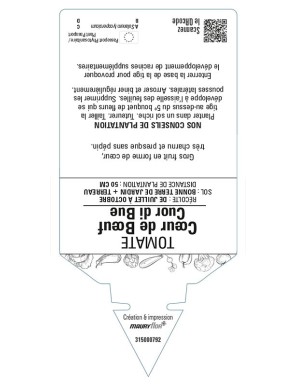 TOMATE Cœur de Bœuf Cuor di Bue