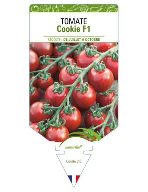 TOMATE COOKIE F1