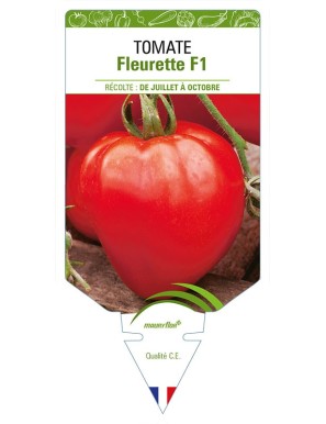 TOMATE FLEURETTE F1